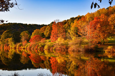 Scenic view of lake by trees against sky