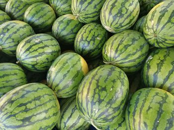 Full frame shot of green water melon for sale in market