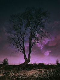 Bare trees on landscape against cloudy sky