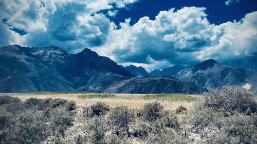 mountain