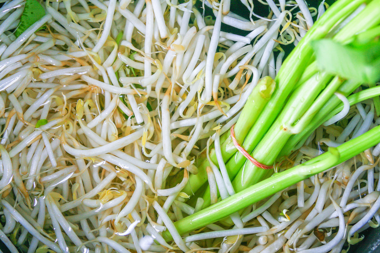 HIGH ANGLE VIEW OF CHOPPED VEGETABLES IN CONTAINER