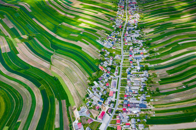 High angle view of agricultural field in city