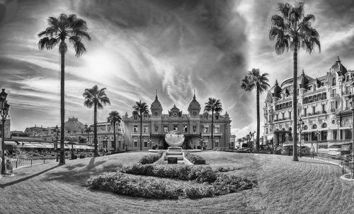 Palm trees and buildings against sky