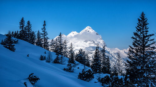 Snow covered land and trees against blue sky