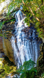 Waterfall in forest