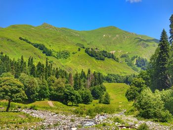 Scenic view of landscape against clear blue sky