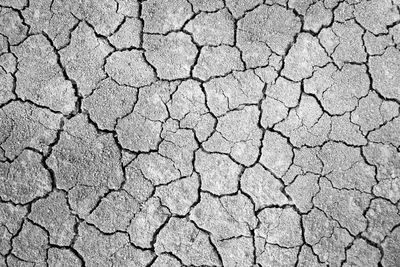 Black and white cracked ground for background