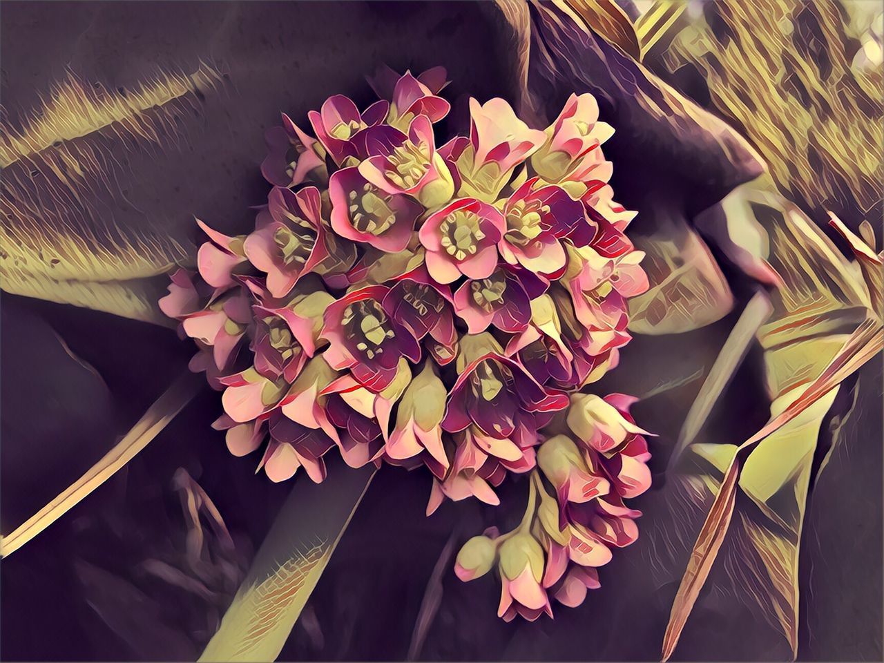 HIGH ANGLE VIEW OF FLOWERING PLANT ON BOUQUET