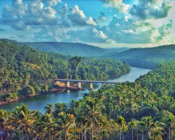 Scenic view of river amidst trees against sky