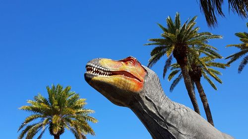 Low angle view of palm tree against clear blue sky