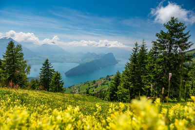 Scenic view of grassy field and mountains against sky