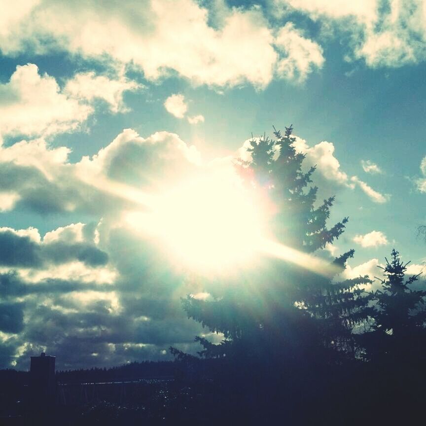 sun, sunbeam, sky, sunlight, cloud - sky, lens flare, beauty in nature, tranquility, nature, scenics, low angle view, tranquil scene, bright, silhouette, cloud, sunny, cloudy, tree, outdoors, no people