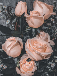 High angle view of rose bouquet