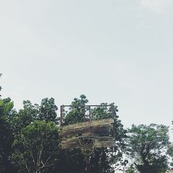 Low angle view of trees against clear sky