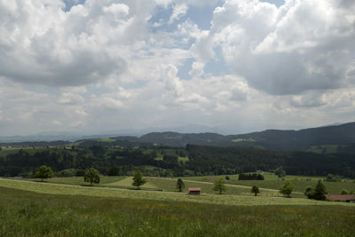 environment