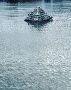 Reflection of trees in water