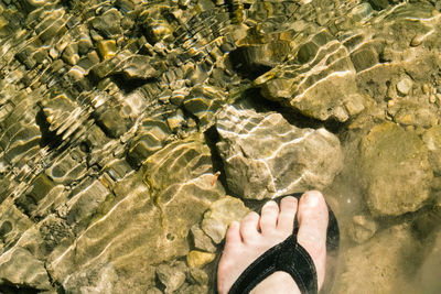 Low section of man standing in water