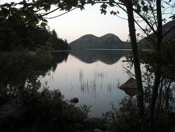 Scenic view of lake by trees against sky