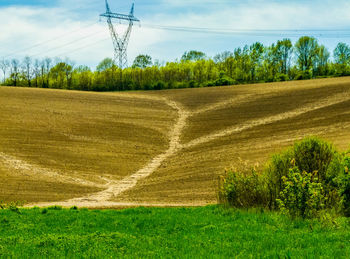 Scenic view of field against sky