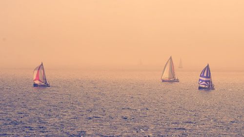 Sailboat sailing in sea against clear sky during sunset