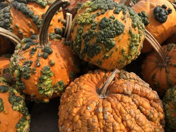 High angle view of pumpkins at market stall