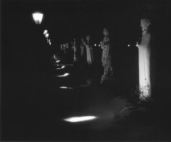 People standing in illuminated street at night