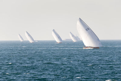 Traditional sailing dhows race back to abu dhabi at 60 feet dhow sailing race. round 1.