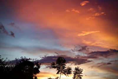 Low angle view of silhouette trees against dramatic sky