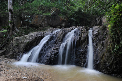 Scenic view of waterfall in forest