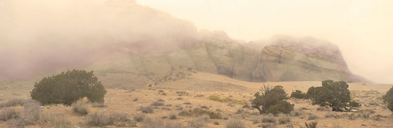 Panoramic shot of trees on landscape against sky