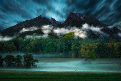 Scenic view of trees against sky