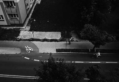 Cars on road by trees in city