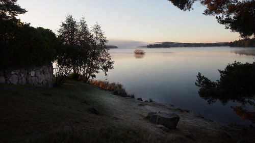 Reflection of trees in lake