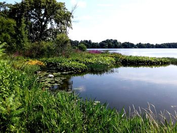 Scenic view of lake against sky