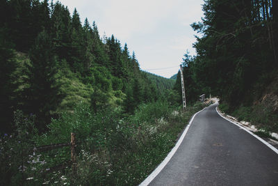 Empty road amidst trees in forest against sky