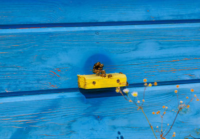 Part of a wooden hive with bees. bees on the hive. apiculture. beekeeping.side view