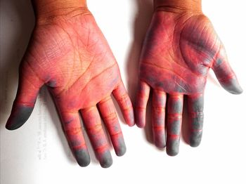 High angle view of human hand over white background