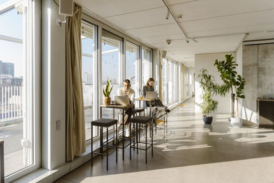 Programmers using laptops at tables by window in creative office