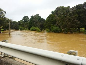 Close-up of trees by lake against sky