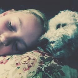 Close-up of dog sleeping