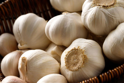 Coles up garlic cloves and bulb in organic. spice is an herb that is grown around the world.