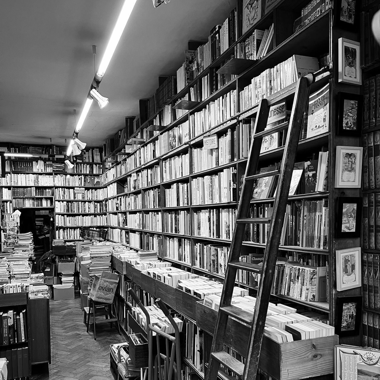 shelf, book, large group of objects, indoors, black and white, publication, education, library, bookshelf, monochrome, building, monochrome photography, bookcase, in a row, order, abundance, furniture, learning, archive, no people, arrangement, architecture, literature
