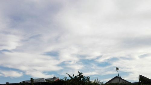 Low angle view of trees against sky