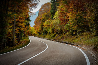 Empty road amidst trees during autumn