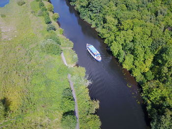 High angle view of river amidst trees