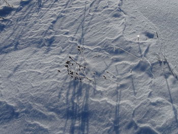 High angle view of footprints on snow covered land