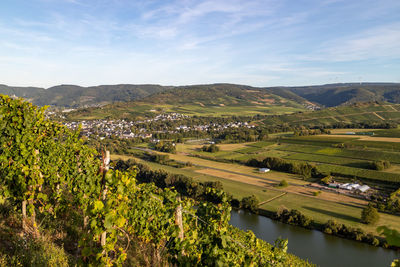 Panoramic view of the moselle valley with the wine village mülheim in the background