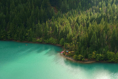 Green lake and forest covered with atmosperic sunlight 