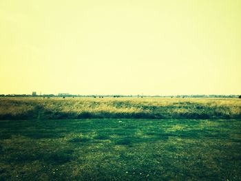 Scenic view of grassy field against sky