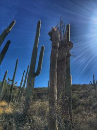Wooden posts on field against blue sky